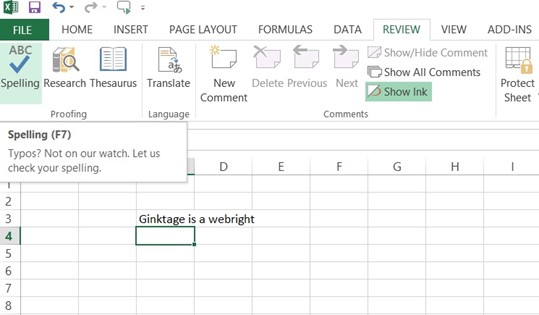 Spell Check Feature in Microsoft Excel 2013